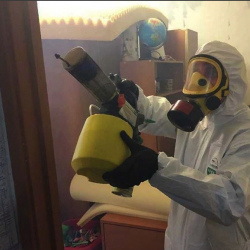Уничтожение клопов в квартире. Запрудня